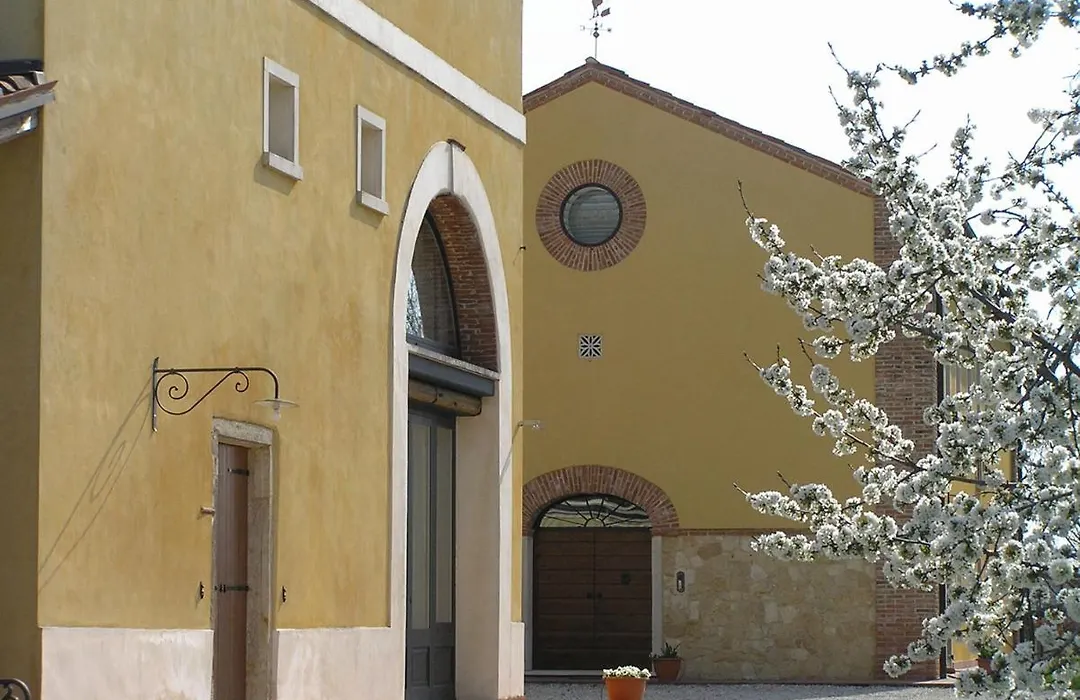 Fattoria Grimana-1